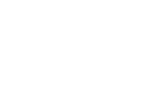 Flawless Frost Jewelry logo