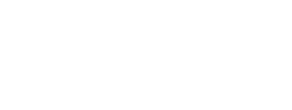 Roc Street International logo
